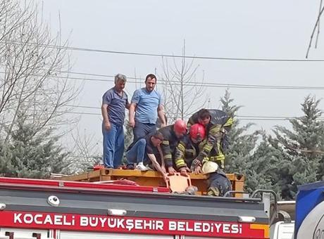 Temizlik yaparken kimyasal tankerinin içine düştü