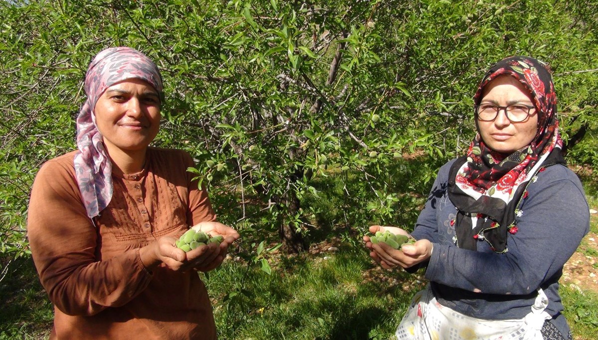 Tezgahta kilosu 200 lira: Satışı 15 gün erken başladı