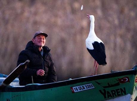 ‘Yaren Leylek ve Adem Amca’, 14’üncü yılda da buluştu