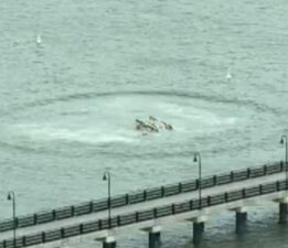 ABD’de helikopter Hudson Nehri’ne düştü