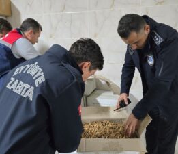 Baklavada kullanacaklardı! 11 ton küflenmiş ve kurtlanmış ceviz ele geçirildi