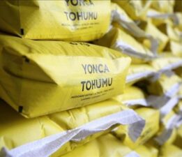 Çiftçilere yüzde 70 hibeyle mısır ve yonca tohumu dağıtıldı