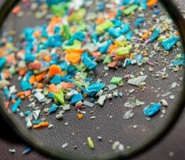 Felç geçiren hastaların damarlarını tıkayan plaklarda yüksek düzeyde mikroplastik bulundu