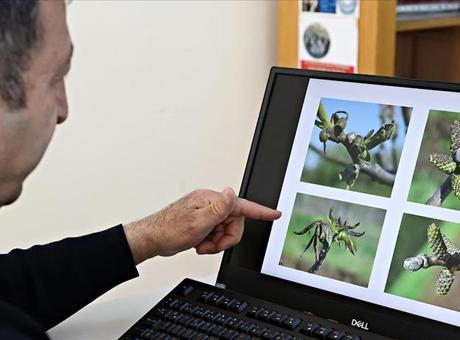 Fındık üreticilerine yaprak gübrelemesi önerisi