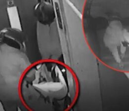 Gaziantep’te görme engelli kadının evi soyulmuştu! Hırsız en yakını çıktı