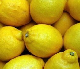 Irak, Türk limonuna talepte Rusya’yı geride bıraktı