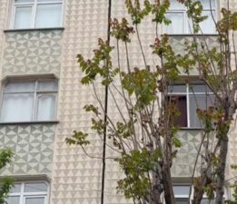 İstanbul’da 6.2’lik deprem nedeniyle hasar gören 2 bina tahliye edildi