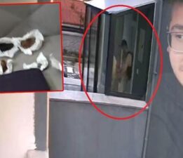 Köpekleri parçalayan doktorun evinden çıkanlar şoke etti! Hepsini tek tek paketlemiş
