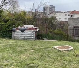 Kuş besleyen çocuk, araçtan rastgele ateşlenen kurşunla yaralandı