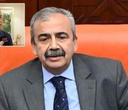 Son dakika… Sırrı Süreyya Önder’in doktoru süreci anlattı: ‘Aort damarı her an patlayabilir’ diye uyarmıştık!