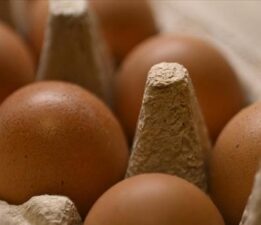 Yumurtada ihracat süreçleri ve fon kesintisi kararları fiyatları aşağı çekti