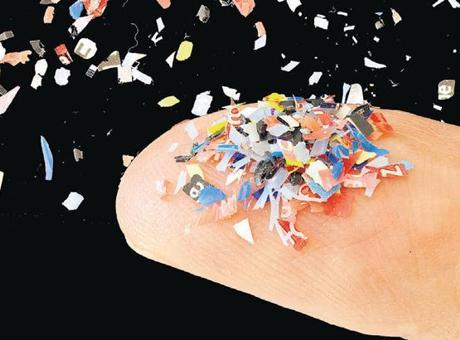 Yumurtalıkta mikroplastik bulundu
