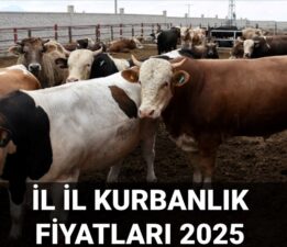 2025 Kurbanlık fiyatları ne kadar? Büyükbaş ve küçükbaş kurbanlık fiyatları güncellendi: İstanbul, Ankara, İzmir ve il il kurbanlık fiyatları