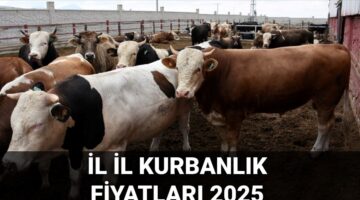 2025 Kurbanlık fiyatları ne kadar? Büyükbaş ve küçükbaş kurbanlık fiyatları güncellendi: İstanbul, Ankara, İzmir ve il il kurbanlık fiyatları