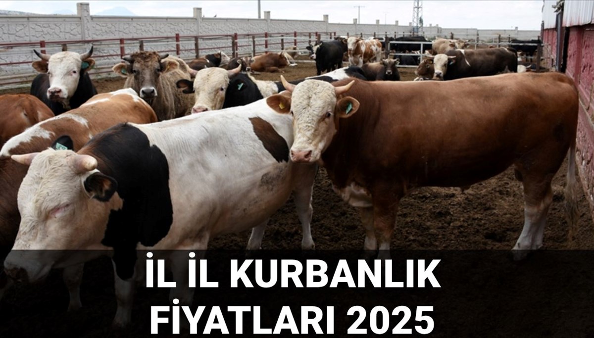 2025 Kurbanlık fiyatları ne kadar? Büyükbaş ve küçükbaş kurbanlık fiyatları güncellendi: İstanbul, Ankara, İzmir ve il il kurbanlık fiyatları