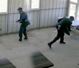 81 yaşındaki cani! Köy kahvesinde bakılan köpeğe dehşeti yaşattı