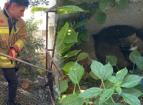Bahçede gören yardıma koştu! Ava giderken ‘avlandı’