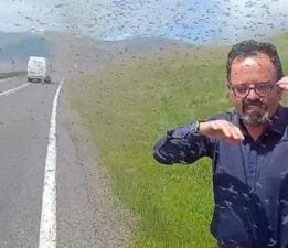 Bir anda sinek sürüsünün içinde kaldılar! Kentte ürküten istila