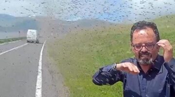 Bir anda sinek sürüsünün içinde kaldılar! Kentte ürküten istila