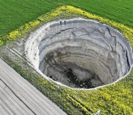 Bir kenti yutuyor! Hepsi devasa büyüklükte çevre illere yayıldı, 20’si yeni keşfedildi
