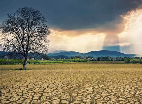 BM’den uyarı: İklim değişikliği 2050’ya kadar 80 milyon kişiyi açlığa itebilir