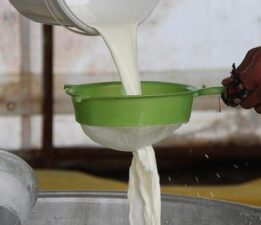 Çiğ süt üretimi 2024 yılında arttı