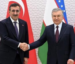 Cumhurbaşkanı Yardımcısı Cevdet Yılmaz, Özbekistan Cumhurbaşkanı Mirziyoyev ile görüştü