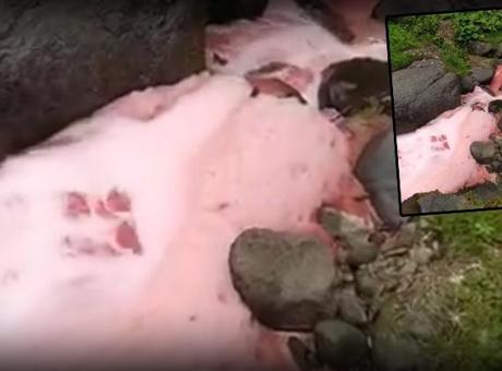 Dere yatağındaki suyun rengi sosyal medyada gündem olmuştu! Rize Valiliği’nden açıklama