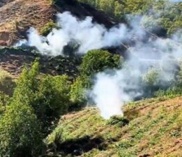 Diyarbakır’da 7 milyon 543 bin kök kenevir ve skunk ele geçirildi