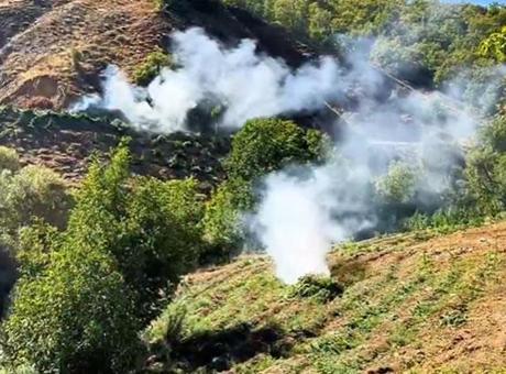 Diyarbakır’da 7 milyon 543 bin kök kenevir ve skunk ele geçirildi