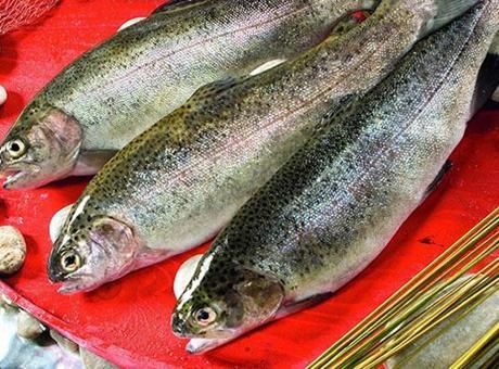 Doğu Karadeniz’in Türk somonu ihracatı 35,8 milyon doları aştı