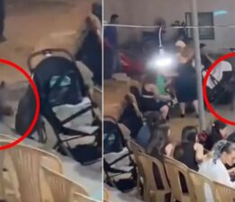 Düğüne dalan yaban domuzu paniğe neden oldu