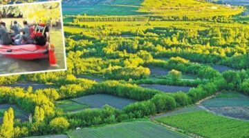 Dünya mirasına zehir ektiler! Hevsel Bahçeleri’ne 2 milyar TL’lik kenevir ekmişler