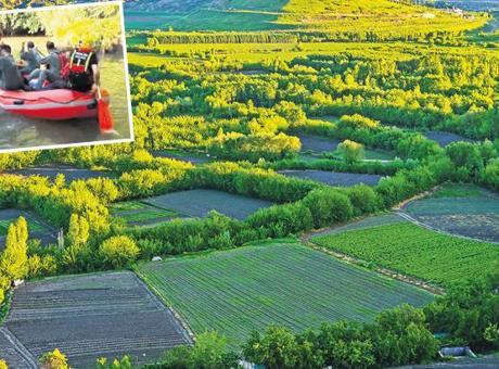Dünya mirasına zehir ektiler! Hevsel Bahçeleri’ne 2 milyar TL’lik kenevir ekmişler