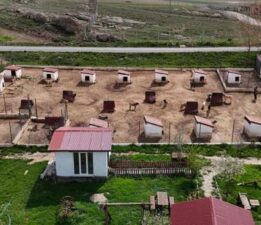 Dünyada eşi benzeri yok! Ünü ülke sınırlarını aştı: Suudi Arabistan, Katar, BAE peşinde…