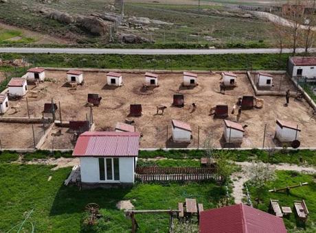 Dünyada eşi benzeri yok! Ünü ülke sınırlarını aştı: Suudi Arabistan, Katar, BAE peşinde…