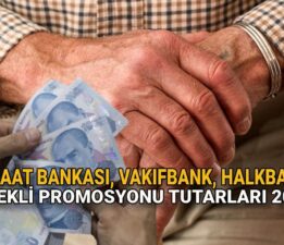 Emekli banka promosyonu ödemesi 2025: Ziraat Bankası, Vakıfbank, Halkbank emekli promosyonu ne kadar?