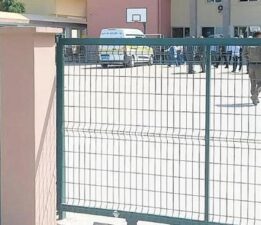 Eski hükümlü 2 kız kardeşi katletti