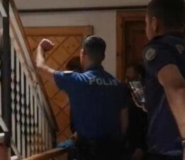 Evinde 12 sokak köpeğiyle kadın gözaltına alındı