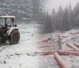Fotoğraflar bugün çekildi! Kar aniden bastırdı, birçok kent beyaza büründü