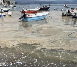 Kabus geri mi dönüyor? Marmara Denizi’nde korkutan görüntü