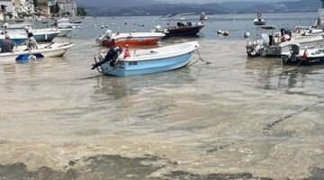 Kabus geri mi dönüyor? Marmara Denizi’nde korkutan görüntü