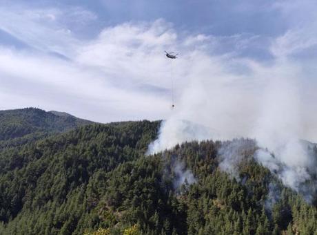 Kahramanmaraş’ta orman yangını! Ekipler harekete geçti