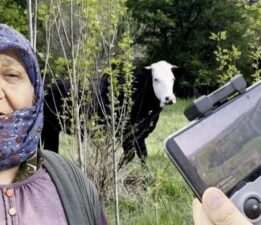 Kezban ninenin yardımına koştular! Kaçak düve dron ile bulundu