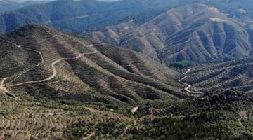 Kütahya’da ormanlara giriş yasağı
