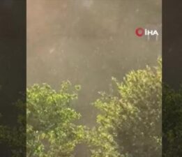 Mayıs ayında kar yağdı! Köylü şaşkınlığını gizleyemedi