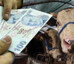 Memur ve emekli maaşları bayramdan önce yatar mı? 2025 Haziran ayı memur ve emekli maaşı ödeme günleri
