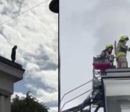 Milletvekili meclis çatısına çıkıp intihar girişiminde bulundu