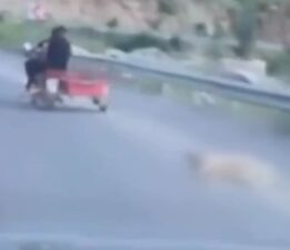 Motosikletin arkasına bağladığı köpeği metrelerce sürükledi