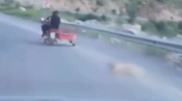 Motosikletin arkasına bağladığı köpeği metrelerce sürükledi